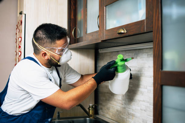 Best Bed Bug Extermination  in Orchard City, CO