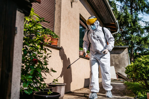 Professional Pest Control in Orchard City, CO