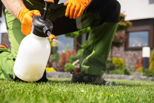 Best Residential Pest Control  in Orchard City, CO