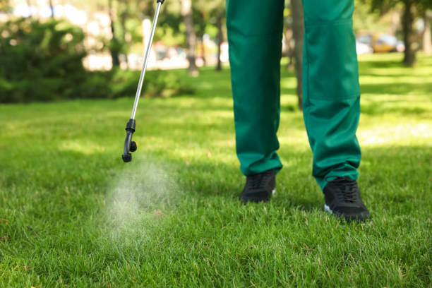 Best Local Pest Control Services  in Orchard City, CO