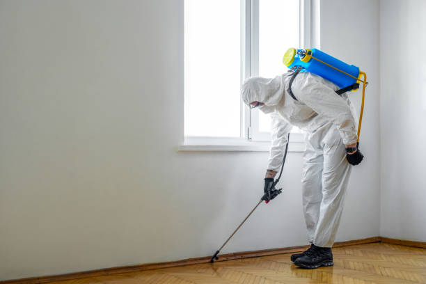 Best Pest Removal Services  in Orchard City, CO