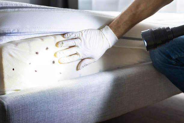 Best Pest Inspection Near Me  in Orchard City, CO